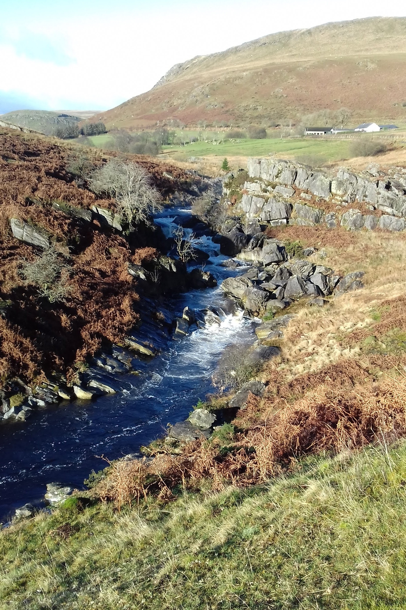 mountain-llyn-lake-fly-fishing